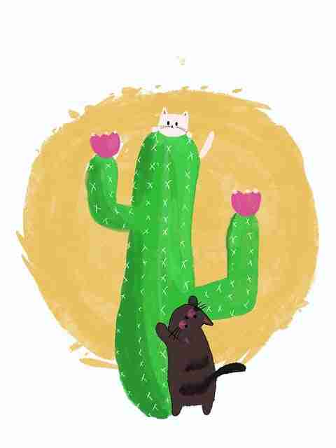 2024.11.22 【黑料网入口】突破热搜还原 - 绝密档案