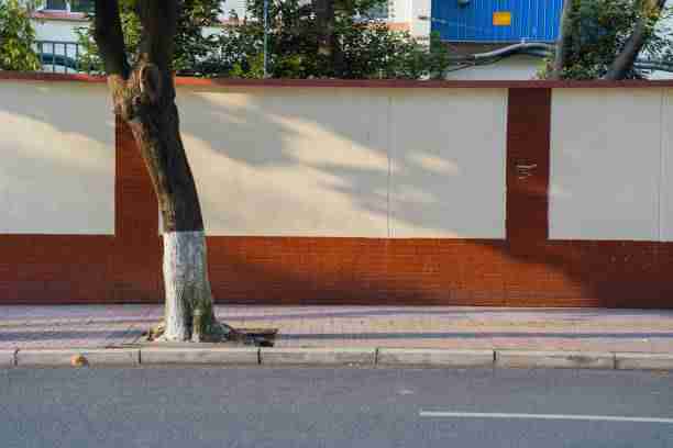 全景黑料官网速览大事件