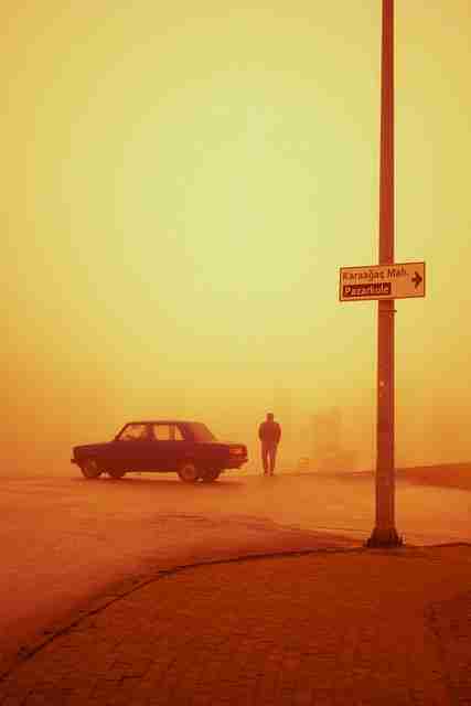 海角社区app下载年度透视治理逻辑——彩蛋别错过