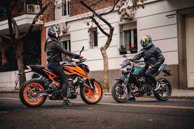 【蘑菇视频电脑版】深夜体验升级追本溯源 - 立体呈现，蘑菇视频畅享美好时光