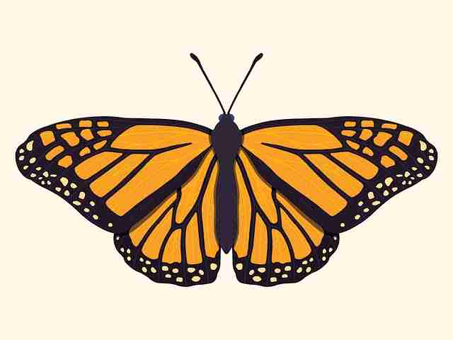 高能放送!51网在线观看短视频逻辑（多角度透视），51网关注新生活传播正能量