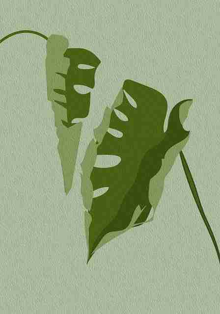 【鉴黄师免费观看】超长全景记录回顾 - 多维视角，鉴黄师是干嘛的知乎