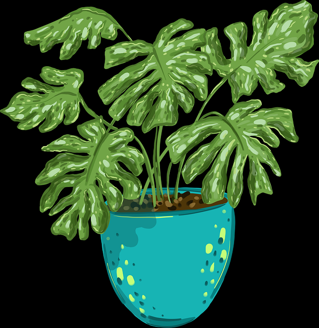 蘑菇视频ios#裂变路径#首发#立体化#横扫热搜，蘑菇视频1.20